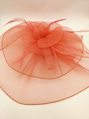 image Coral Feather Fascinator Hat